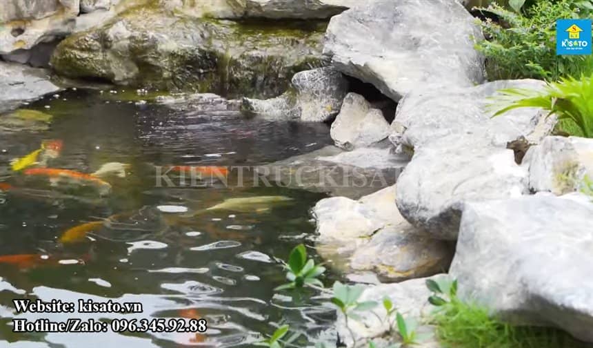Kisato Thi Công Hồ Cá Koi Kết Hợp Hòn Non Bộ đẹp Mắt Tại Bắc Giang (12)